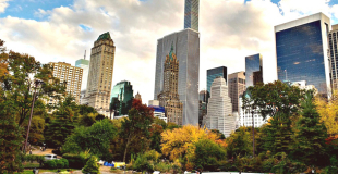 Les espaces verts : indispensables autour d'un bien immobilier