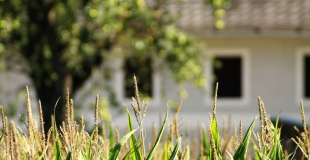 Faut-il vendre avant d'acheter un nouveau bien immobilier ou acheter avant de vendre ?