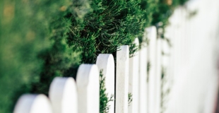 Clôture mitoyenne : quelles sont les règles à respecter ?