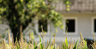 Comment retrouver le propriétaire d'un bien immobilier ?