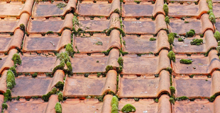 Faire un démoussage et nettoyage de sa toiture : conseils et coût