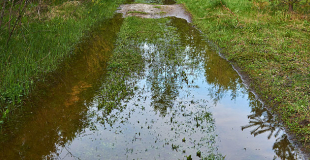 Assurance habitation en zone inondable : comment choisir ? Quel coût ?