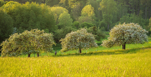 Comment calculer le prix d’un terrain non constructible ?