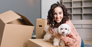 Déménagement Dijon (21) : conseils et organisation !