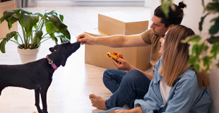 Déménagement Maisons-Alfort (94) : conseils et organisation !