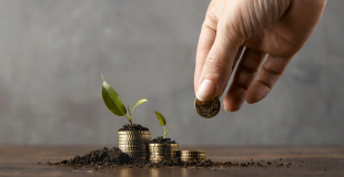 Quels sont les points forts de l’assurance vie en épargne ?